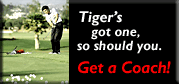 tiger_2