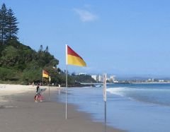 Flags designating surf swimming area, Rainbow Bay, Qld, Australia
